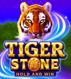 Tiger Stone