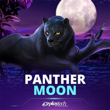 Panther Moon