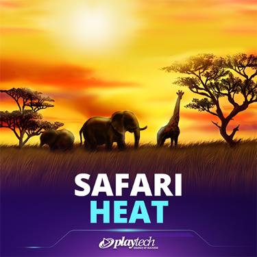 Safari Heat