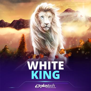 White King